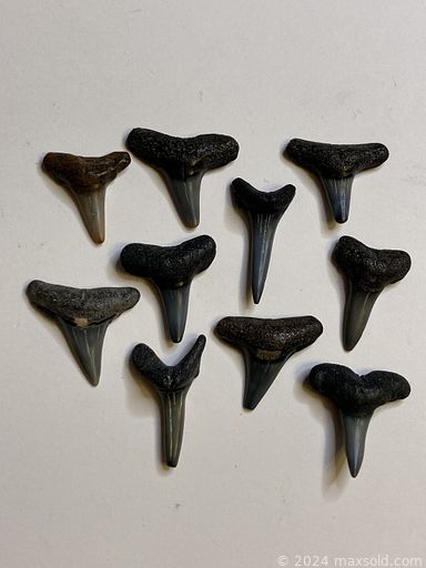 MaxSold Auction: This online auction features framed porcelain plaque, coins, silver plated items, loose semi-precious stones and jewelry, military pins, sterling silver jewelry, vintage fishing reel, Royal Winton dishes, Limoges dishes, vintage barometer, Knick knacks, stamps, bronze items, costume jewelry, sterling silverware, vintage magnifying glass, vases, porcelain sculpture and much more.