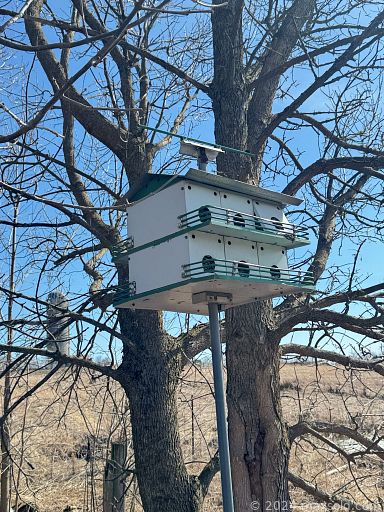 Auction 108370 (3 of 4)