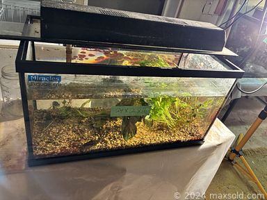 MaxSold Auction: This online auction features antique washstand, sports memorabilia, office supplies, DVDs, TV,  art glass, decorative plates, vintage bottles, stained glass pieces, small kitchen appliances, aquariums, fish tanks & supplies, puzzles, novelty teapots, vintage waterfall vanity, teacup/saucer sets, power & hand tools, sewing machine, watches, vintage books, glass insulators, garden art, plant pots, patio furniture, games, collector spoons, fitness gear, chest freezer, yard tools, lawnmower, toys, chest freezer, laboratory supplies, fishing gear, and much, much, more!!!