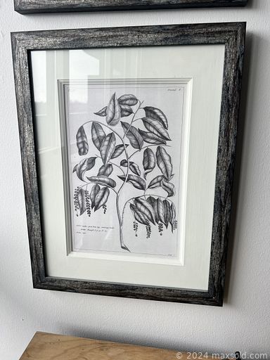 Auction 111641 (1 of 4)