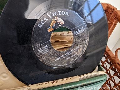 MaxSold Auction: This online auction features Tiffany-style lamp, doll collection, games, vinyl records, jewelry, wall masks, cookie jars, small kitchen appliances, shoes & clothing, NIB leaf blower and much more!