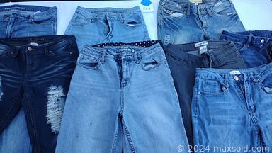 MaxSold Auction: This online auction includes seasonal decor, bedding, clothing, accessories, costume jewelry, garden tools, garden supplies, planters, CD racks, kitchenware, small kitchen appliances, brassware, electronics, lamps, party decor, outdoor furniture, vinyl records, cushions and much more!