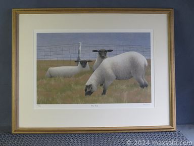 Auction 105849 (2 of 4)