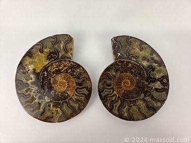 Auction 106148 (2 of 4)