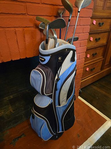 Auction 106704 (1 of 4)