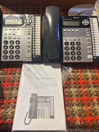 Auction 113019 (3 of 4)