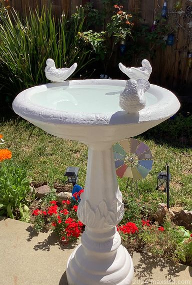Auction 110598 (3 of 4)