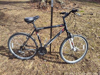 Auction 107017 (1 of 4)