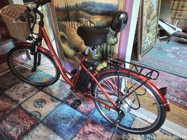 Auction 112525 (2 of 4)