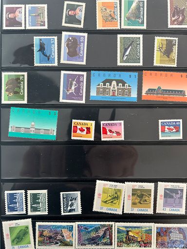 collage-image