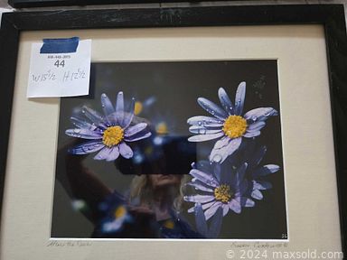 Auction 113633 (2 of 4)