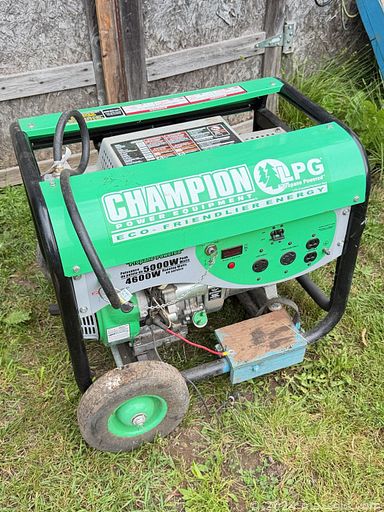 Auction 112399 (1 of 4)