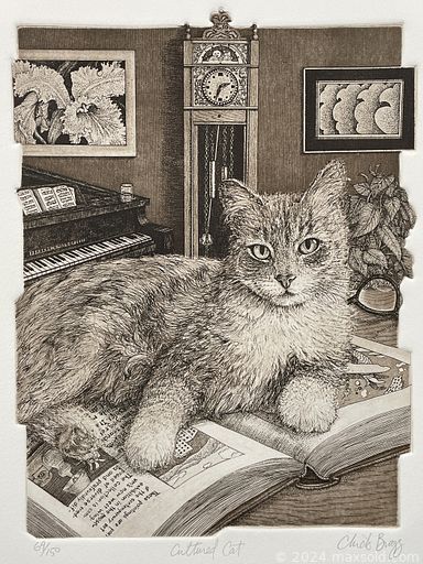 MaxSold Auction: This online auction features sterling silver flatware & serving pieces, coins, banknotes, art glass, Japanese Imari, decanters, art books, antique prints & maps, Chinese ginger jar, Charles Chic Bragg prints, Robert Bateman prints, depression glass, brass chandeliers, vintage nutcracker, and much, much, more!!!