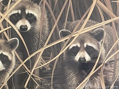 MaxSold Auction: This online auction features furniture such as a rattan rocker, Asher Benjamin Studio bookshelf, dropleaf table, paw foot antique dresser, Amisco industrial table and chairs, MCM cabinet hutch and others, Wedgwood dinnerware, nutcrackers, Lenox, Denby and other drinkware, American Girl dolls and accessories, Schleich toys, vintage Dungeons & Dragons mini figurines, Playmobil and other toys, Oculus Rift VR headset, books, baskets, podcasting equipment, Dewalt and Husky tools, Yamaha Clavinova, wall art, sculptures, electronics, fencing items, jewelry and more!