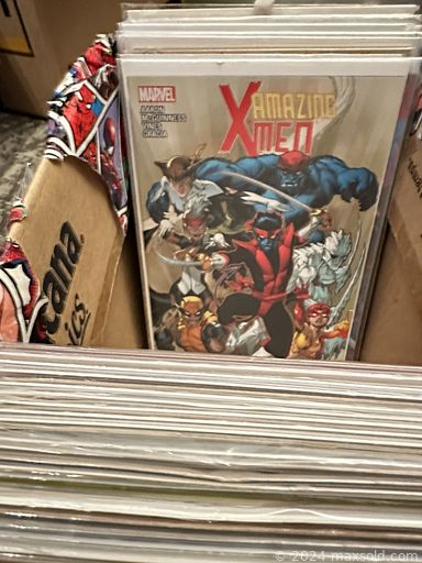 Auction 103200 (3 of 4)