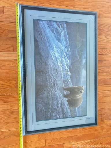 Auction 109210 (3 of 4)