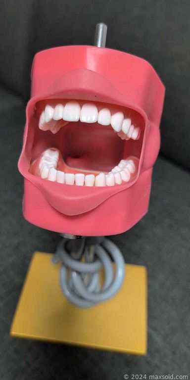 Auction 103011 (2 of 4)