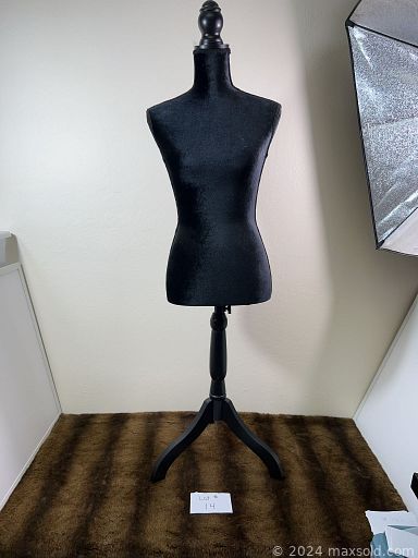 Auction 107924 (3 of 4)
