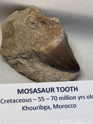 Auction 106700 (3 of 4)