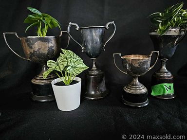 Auction 115695 (2 of 4)