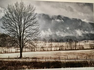 MaxSold Auction: This online auction includes Royal Doulton, Lladro, pinwheel crystal, furniture such as Bergere armchairs, end tables, vintage French Provincial sofa, vintage stereo cabinet, antique dining chairs, faux leather recliners, and Duncan Phyfe pedestal dining table, pottery, lamps, framed art, costume jewelry, home gym equipment, power tools and much more!