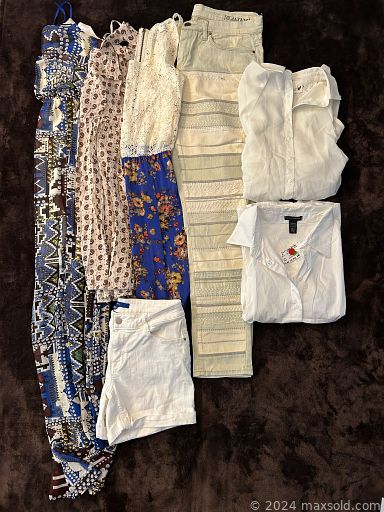 Auction 113594 (1 of 4)