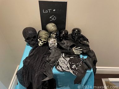 MaxSold Auction: This online auction includes DVDs, VHS, Ping Pong game, Basketball, Pictionary and other board games, novelty wigs, St. Patrick’s day, Easter and other decor, dragon phone, Wii accessories, party items and more!