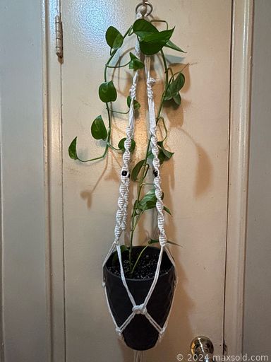 Auction 107184 (3 of 3)