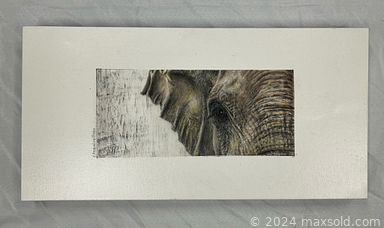 Auction 106445 (2 of 4)