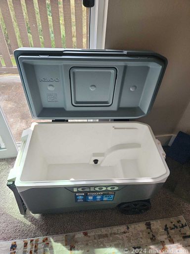 Auction 112990 (1 of 4)