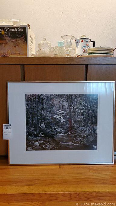 MaxSold Auction: This online auction features sewing machine, cameras, wall masks, home health aids, area rugs, women’s clothing, mirrors, framed wall art, teacup/saucer set, small kitchen appliances,  art pottery, power recliner, DVDs, art supplies, TV, stereo components, drafting table & tools, office supplies, upright freezer, vinyl records, belt buckles, exercise bike, printer, jewelry, hand tools, patio furniture, garden tools, ladders, lawnmower, platform bed, and much more!!!