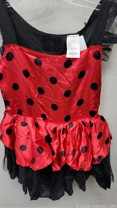 MaxSold Auction: This online auction features women’s clothing, kids\' costumes, ladies\' shoes and much more!