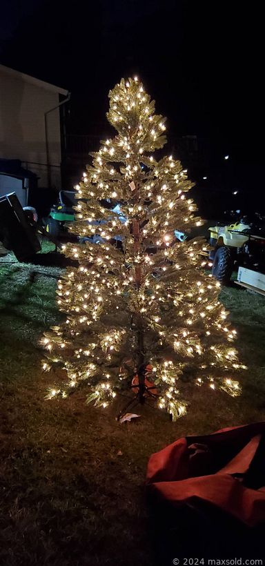 Auction 106015 (2 of 4)