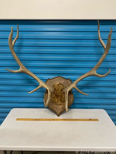 Auction 105995 (3 of 4)