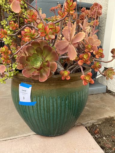 MaxSold Auction: This online auction features sewing machine, garden shed, art glass, Lladro figurines, costume jewelry, watches, vintage crystal, Vestal Alcobaca decorative plates, ruby glass, vintage books, barrister bookshelf, patio furniture, electric grill, live plants, garden tools & supplies, teacup/saucer sets, milk glass, carnival glass, small kitchen appliances, novelty teapots, computer & accessories, office supplies, area rugs, puzzles and much more!