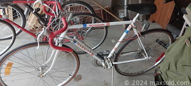 Auction 113001 (3 of 4)