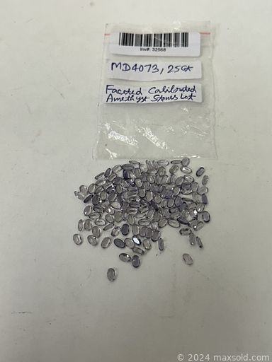 MaxSold Auction: This online auction features automotive accessories, office supplies, garden supplies, beauty products, pet products, fitness gear, hand tools, LED bulbs, cellphone accessories, DVDs, drone, new women’s shoes, fidget toys, new clothing, mini washing machine, and much, much, more!!!n