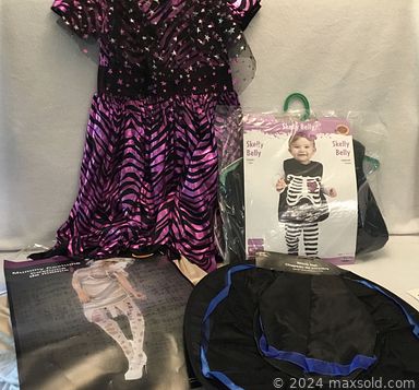 Auction 115547 (3 of 4)