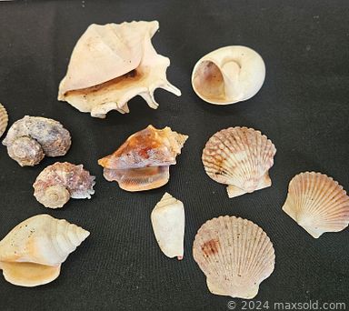 Auction 107043 (2 of 4)