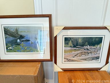 Auction 108477 (2 of 4)