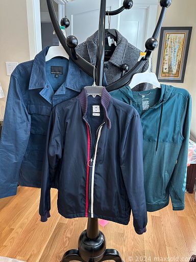 Auction 105661 (1 of 4)