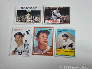 Auction 113100 (3 of 4)