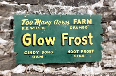 MaxSold Auction: This online auction features vintage advertising signs, dollhouse, Juanita LeBarre Symington oil paintings, antique leaded glass window, art glass, antique wooden corbels, Indigenous art, West German pottery, bar mirror, perfume bottles, sewing machine, vintage Pyrex, teak furniture, stained glass panels, stoneware jug, vintage chandeliers, hanging rattan chair, art pottery, BMP, and much, much, more!!!!