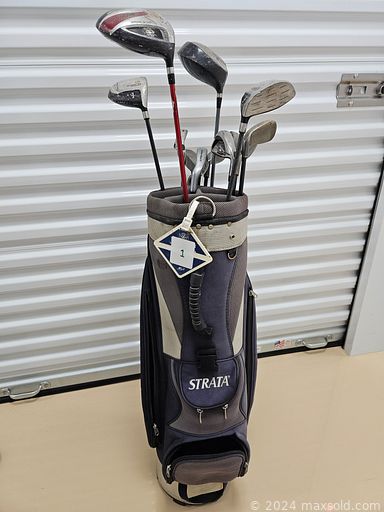 Auction 112489 (1 of 4)