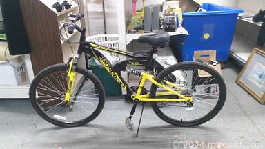 Auction 114277 (1 of 4)