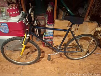 Auction 113807 (3 of 4)