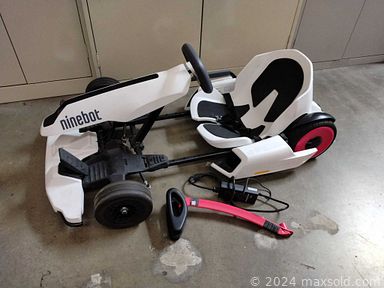 Auction 114244 (1 of 4)