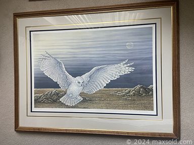 Auction 109586 (2 of 4)