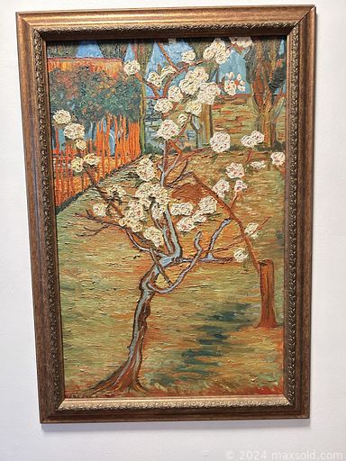 Auction 113225 (2 of 4)