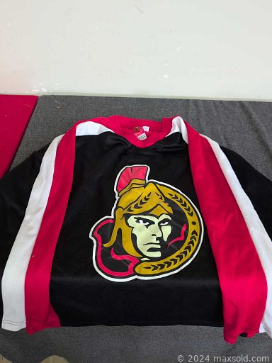 Auction 113018 (1 of 4)